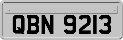 QBN9213