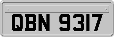 QBN9317