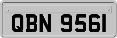 QBN9561