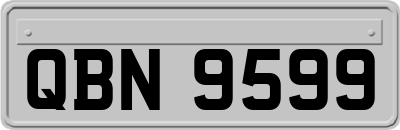 QBN9599