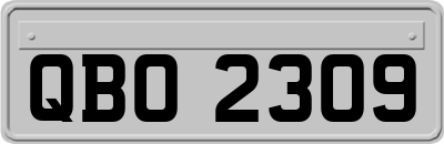 QBO2309
