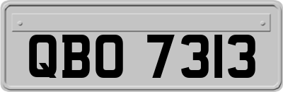 QBO7313