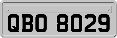 QBO8029