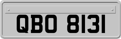 QBO8131