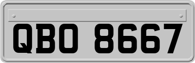 QBO8667
