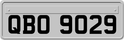 QBO9029