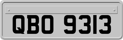 QBO9313