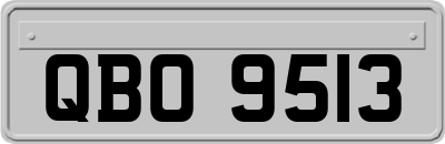 QBO9513