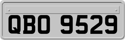 QBO9529
