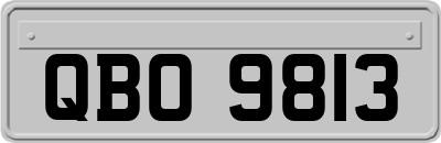 QBO9813
