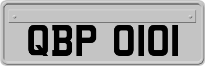 QBP0101