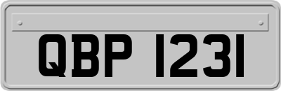 QBP1231