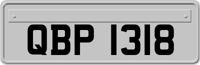QBP1318