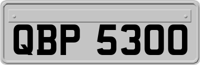 QBP5300