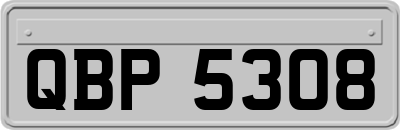 QBP5308