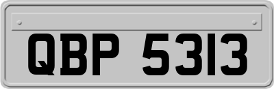 QBP5313