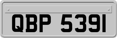 QBP5391