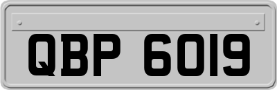 QBP6019