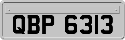 QBP6313