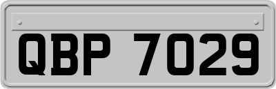 QBP7029