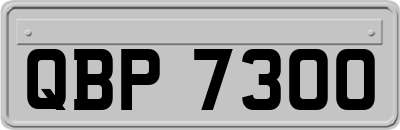 QBP7300