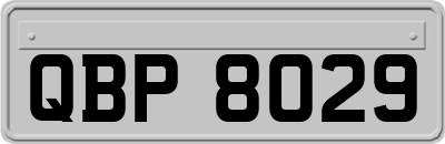 QBP8029