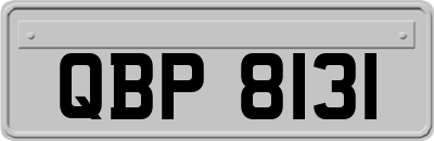 QBP8131