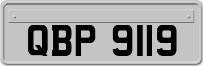 QBP9119