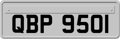 QBP9501