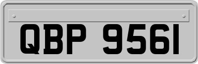 QBP9561