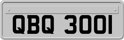QBQ3001