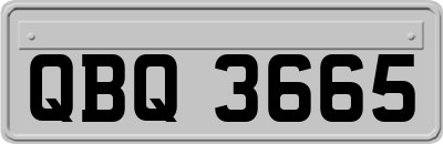 QBQ3665