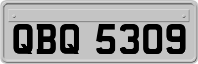 QBQ5309