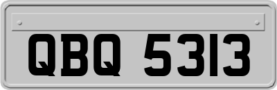 QBQ5313