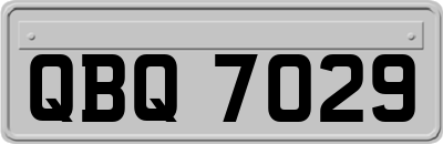 QBQ7029