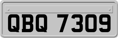 QBQ7309