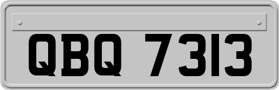 QBQ7313