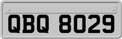 QBQ8029