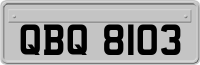 QBQ8103