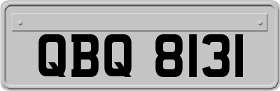 QBQ8131