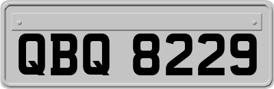 QBQ8229