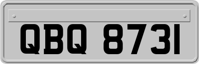 QBQ8731