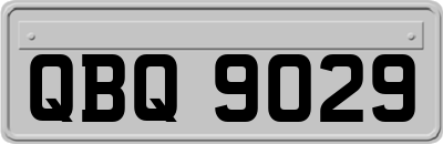 QBQ9029