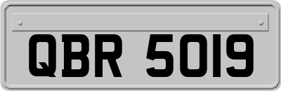 QBR5019
