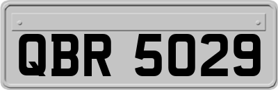 QBR5029