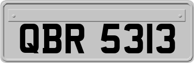QBR5313