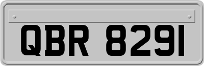 QBR8291