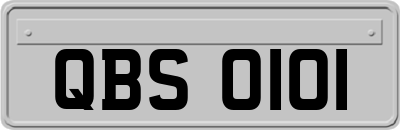 QBS0101