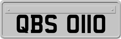 QBS0110