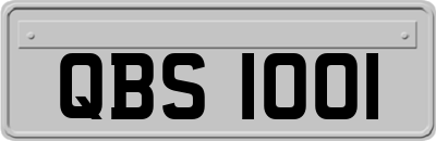 QBS1001